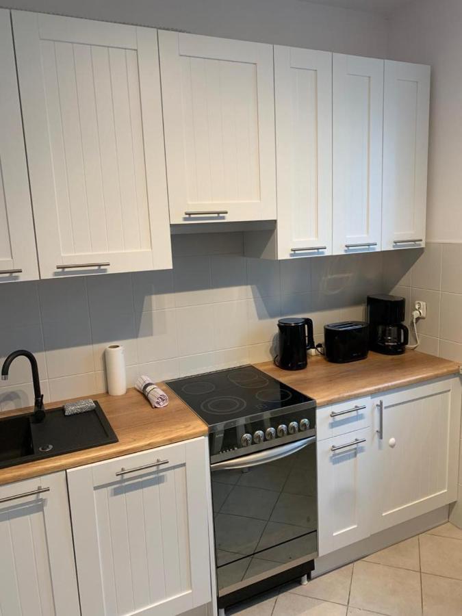 Apartament Zieleniec Stary Toruń Dış mekan fotoğraf
