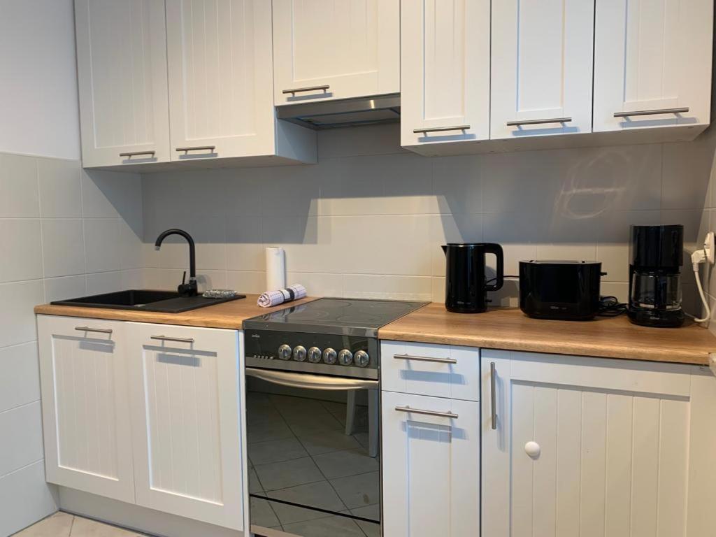 Apartament Zieleniec Stary Toruń Dış mekan fotoğraf